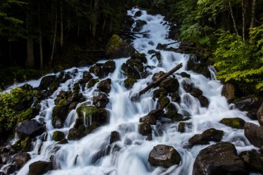 Summer in Uelhs Deth Joeu waterfall, Val D Aran, Pyrenees, Spain