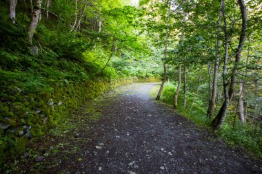 Summer in Uelhs Deth Joeu waterfall, Val D Aran, Pyrenees, Spain