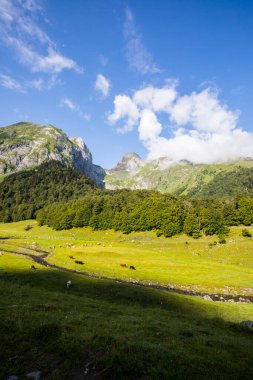 Summer in Uelhs Deth Joeu waterfall, Val D Aran, Pyrenees, Spain