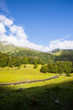 Uelhs Deth Joeu Şelalesi 'nde yaz mevsimi, Val D Aran, Pireneler, İspanya