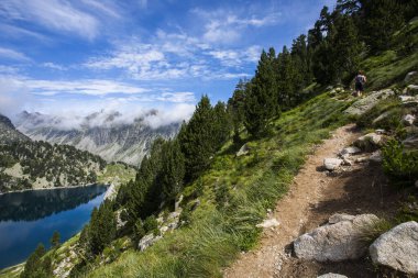 Summer landscape in Aiguestortes and Sant Maurici National Park, Pyrenees, Spain