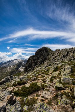 Summer landscape in Aiguestortes and Sant Maurici National Park, Pyrenees, Spain