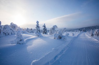 Winter landscape in Pallas Yllastunturi National Park, Lapland, northern Finland.