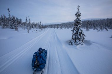 Ski expedition in Pallas Yllastunturi National Park, Lapland, northern Finland.