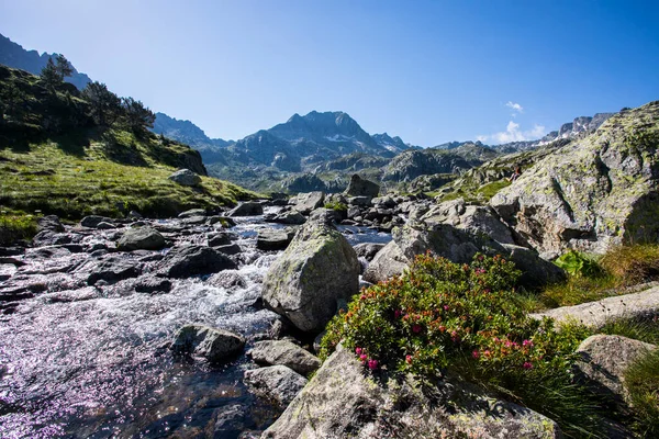 Krajobraz Letni Aiguestortes Parku Narodowym Sant Maurici Pireneje Hiszpania — Zdjęcie stockowe