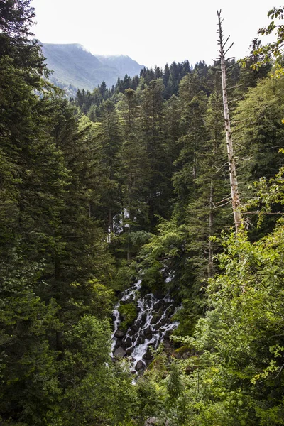 Uelhs Deth Joeu Şelalesi Nde Yaz Mevsimi Val Aran Pireneler — Stok fotoğraf