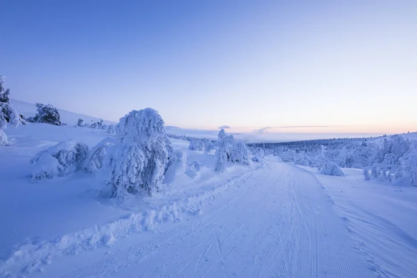 Paisaje Invernal Parque Nacional Pallas Yllastunturi Laponia Finlandia — Foto de Stock