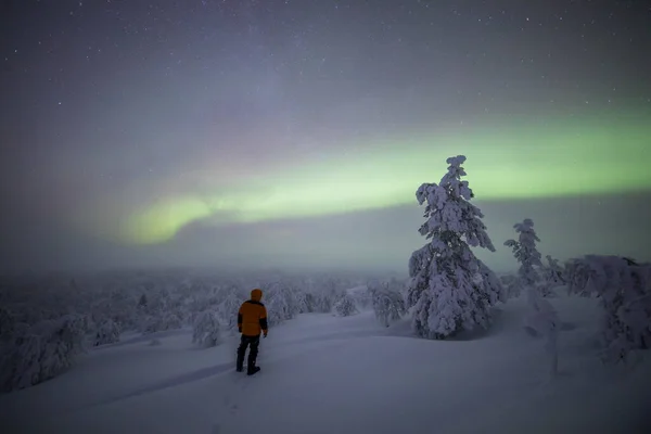 Northern Lights Pallas Yllastunturi National Park Lapland Northern Finland — Zdjęcie stockowe
