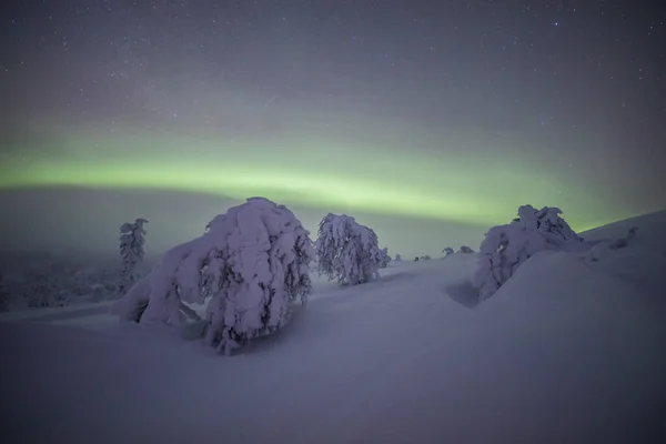 Northern Lights Pallas Yllastunturi National Park Lapland Northern Finland — Stock Photo, Image
