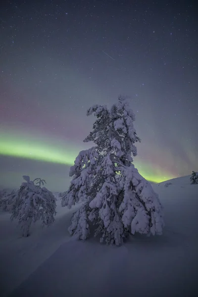 Northern Lights Pallas Yllastunturi National Park Lapland Northern Finland — Foto Stock