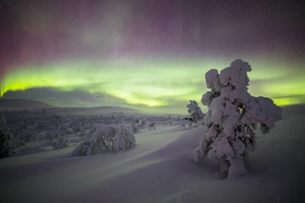Northern Lights Pallas Yllastunturi National Park Lapland Northern Finland — Foto Stock