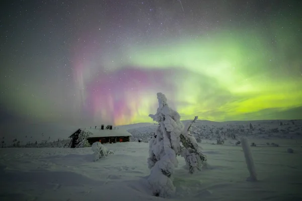 Northern Lights Pallas Yllastunturi National Park Lapland Northern Finland — 스톡 사진