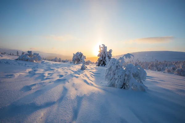 Winter Sunset Pallas Yllastunturi National Park Lapland Northern Finland — Φωτογραφία Αρχείου