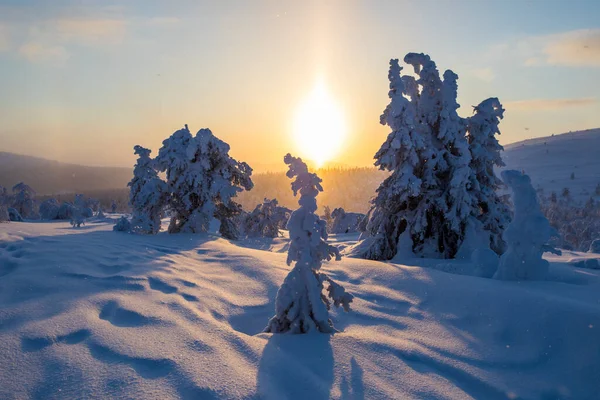 Tramonto Invernale Nel Parco Nazionale Pallas Yllastunturi Lapponia Finlandia — Foto Stock