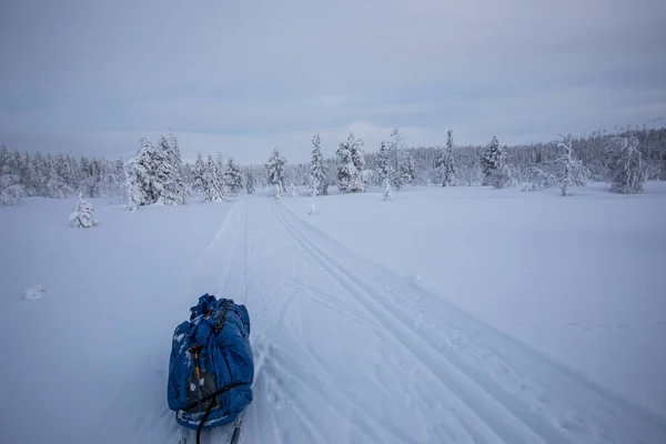 Ski Expedition Pallas Yllastunturi National Park Lapland Northern Finland — стоковое фото