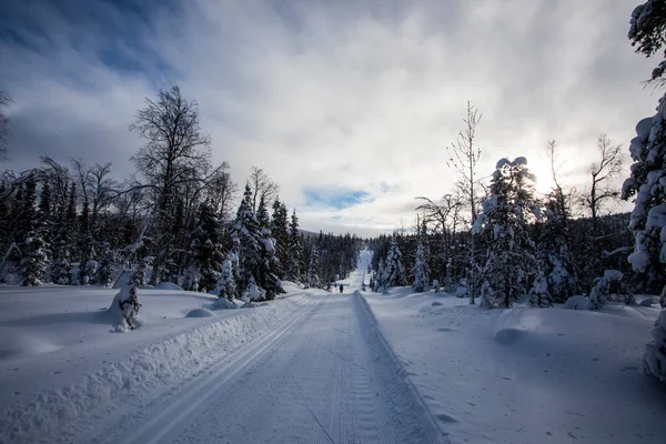 Wyprawa Narciarska Parku Narodowym Pallas Yllastunturi Laponia Finlandia — Zdjęcie stockowe