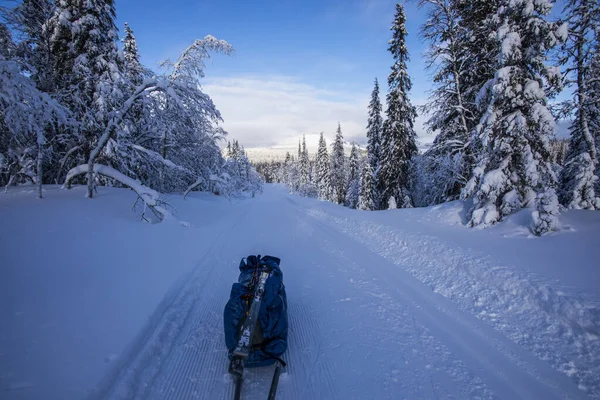 Skiekspedition Pallas Yllastunturi National Park Lapland Finland - Stock-foto