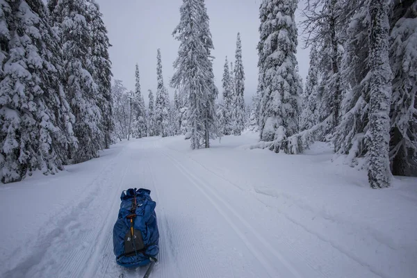 Ski Expedition Pallas Yllastunturi National Park Lapland Finland — Zdjęcie stockowe