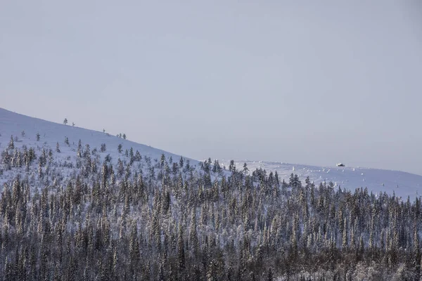 Pallas Yllastunturi Ulusal Parkı, Laponya, Finlandiya 'da kış manzarası