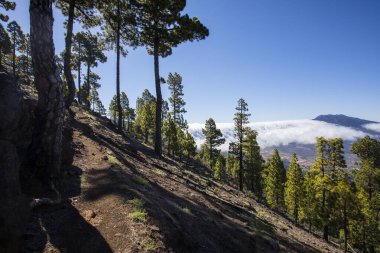 Landscaoe in Bejenado Peak in Caldera De Taburiente, La Palma, Canary Islands, Spain