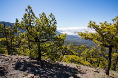 Landscaoe in Bejenado Peak in Caldera De Taburiente, La Palma, Canary Islands, Spain