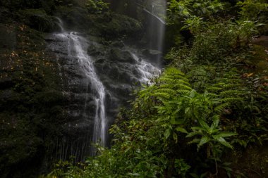 Scene of Tilos waterfall in La Palma Island, Canary Islands, Spain.