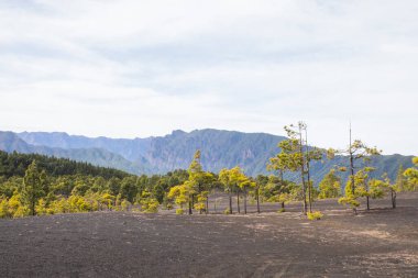 Günbatımı Llano Del Jable, La Palma, Kanarya Adaları, İspanya.