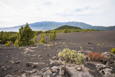 Sunset in Llano Del Jable, La Palma, Canary Islands, Spain.