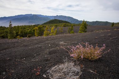 Sunset in Llano Del Jable, La Palma, Canary Islands, Spain.