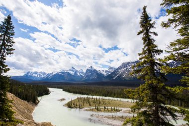 Summer landscape in Jasper National Park in Canada