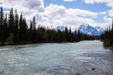 Summer landscape in Jasper National Park in Canada