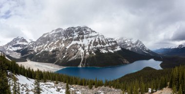Summer landscape in Peyto lake, Banff National Park in Canada