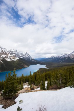 Peyto Gölü 'nde yaz manzarası, Kanada Banff Ulusal Parkı