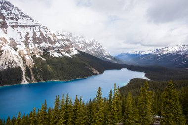 Peyto Gölü 'nde yaz manzarası, Kanada Banff Ulusal Parkı