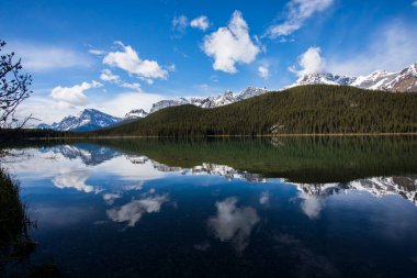 Summer landscape in Jasper National Park in Canada