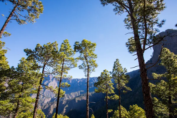 Bejenado Tepesi 'ndeki Landscaoe Caldera de Taburiente, La Palma, Kanarya Adaları, İspanya