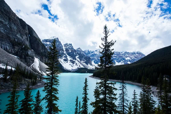 Summer Landscape Moraine Lake Banff National Park Canada — Stockfoto