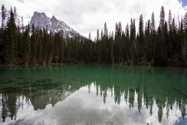 stock image Summer landscape in Emerald lake, Yoho National Park in Canada.