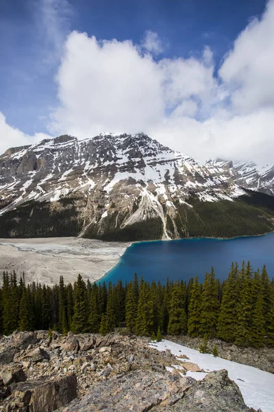 Paisaje Verano Lago Peyto Parque Nacional Banff Canadá — Foto de Stock