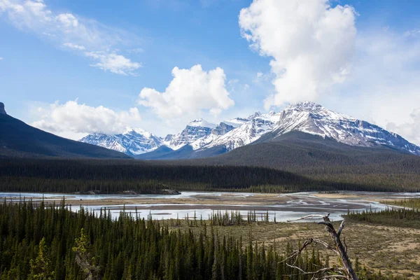 Summer Landscape Jasper National Park Canada — Stok fotoğraf