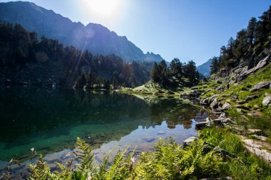 Summer landscape in Aiguestortes and Sant Maurici National Park, Pyrenees, Spain