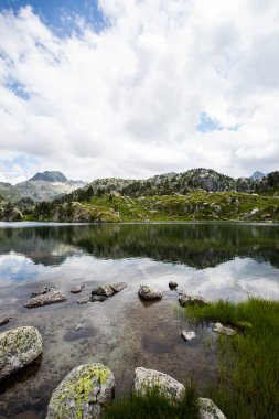 Summer landscape in Aiguestortes and Sant Maurici National Park, Pyrenees, Spain