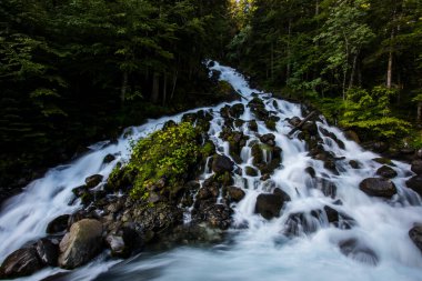 Summer in Uelhs Deth Joeu waterfall, Val D Aran, Pyrenees, Spain