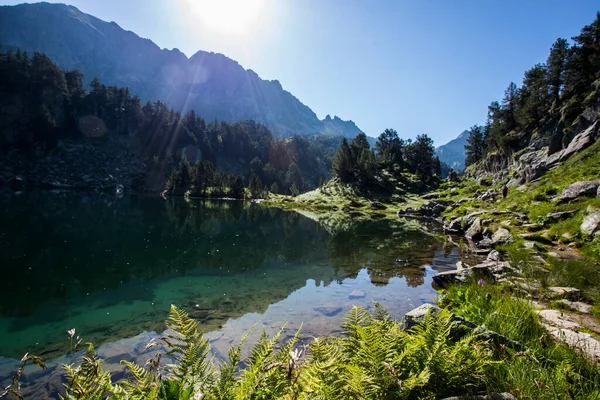 Summer Landscape Aiguestortes Sant Maurici National Park Pyrenees Spain — Stok fotoğraf