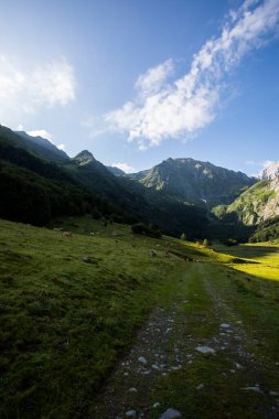 Summer in Uelhs Deth Joeu waterfall, Val D Aran, Pyrenees, Spain