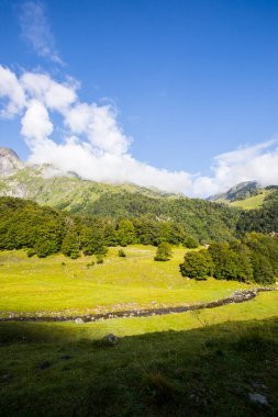 Summer in Uelhs Deth Joeu waterfall, Val D Aran, Pyrenees, Spain
