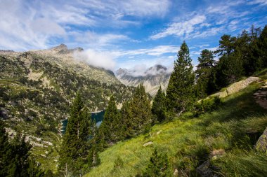 Summer landscape in Aiguestortes and Sant Maurici National Park, Pyrenees, Spain