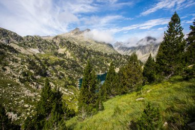 Summer landscape in Aiguestortes and Sant Maurici National Park, Pyrenees, Spain