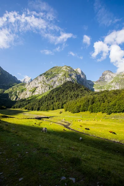 Summer in Uelhs Deth Joeu waterfall, Val D Aran, Pyrenees, Spain