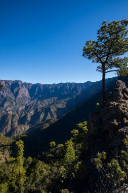 Bejenado Tepesi 'ndeki Landscaoe Caldera de Taburiente, La Palma, Kanarya Adaları, İspanya